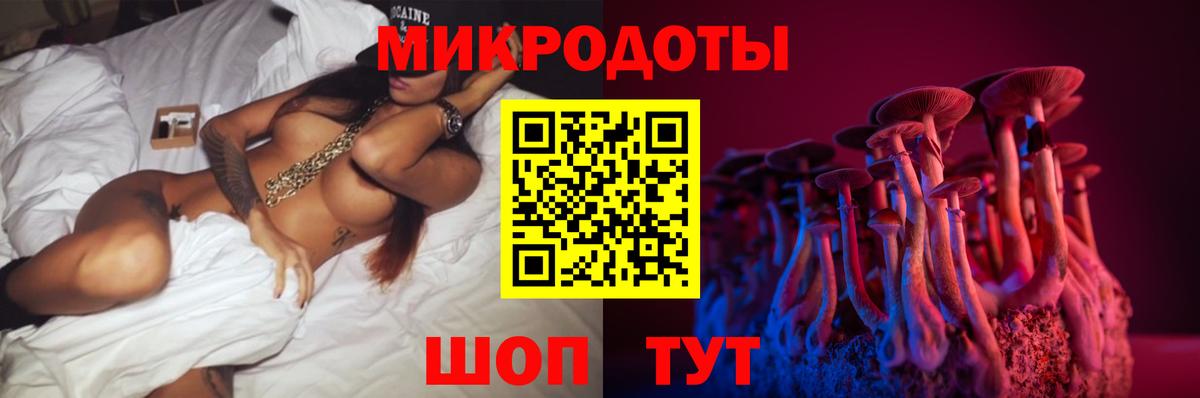 Псилоцибиновые грибы Cubensis Белорецк